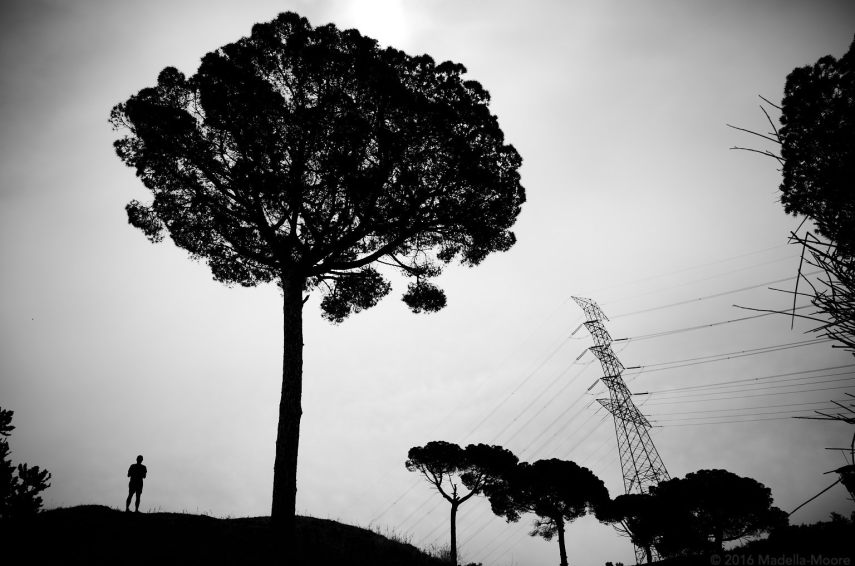 Pylons, trees and a humanoid.