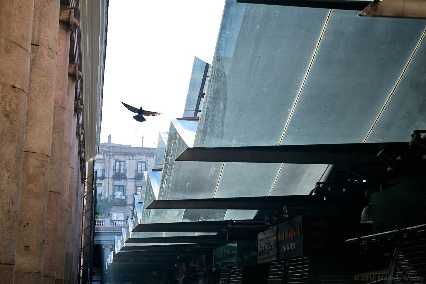 La Boqueria, Barcelona