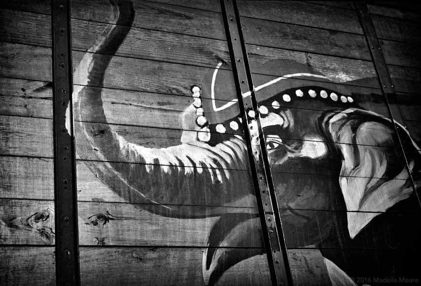 Circ Històric Raluy, Port Vell, Barcelona