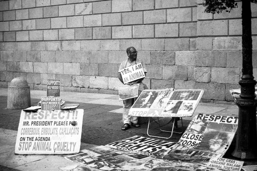 Protest in favour of animal rights, Plaça Sant Jaume, Barcelona