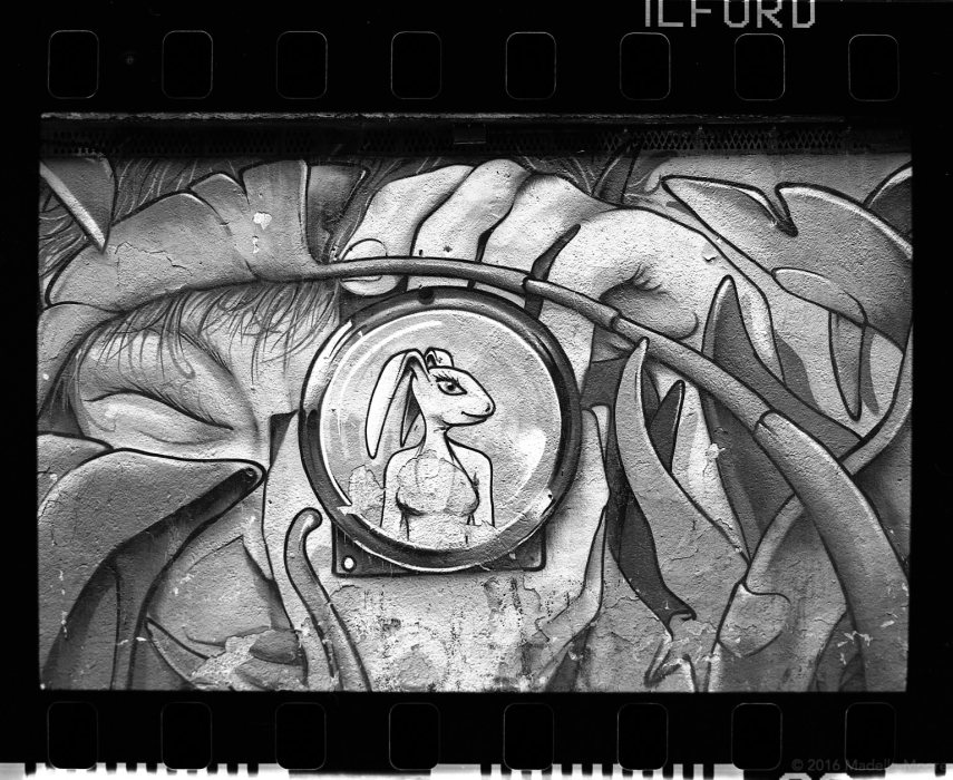 Rabbit, Barcelona (full frame - from a different section of the mural).