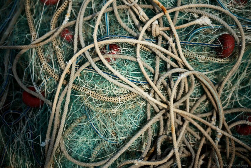 Open House at Port Vell Fishing Harbour, Barcelona.