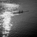 Rowing in the harbour, Port Vell,&nbsp;Barcelona.