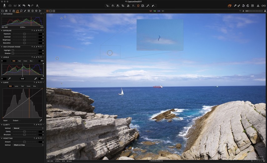 Cloning out dust spots in Capture One. This particular cluster of dust affected several days of landscape images, creating a problem when processing the RAW files.
