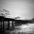 Brighton-2056
