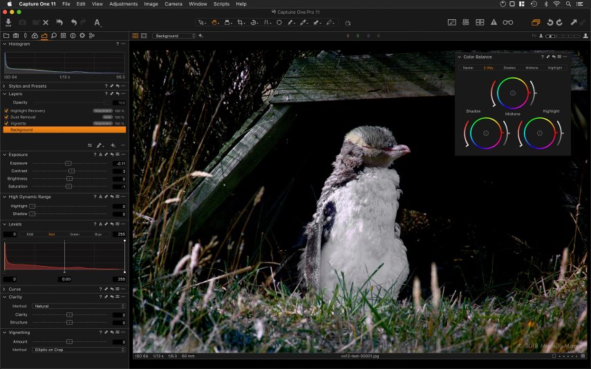 Capture One 11 User Interface