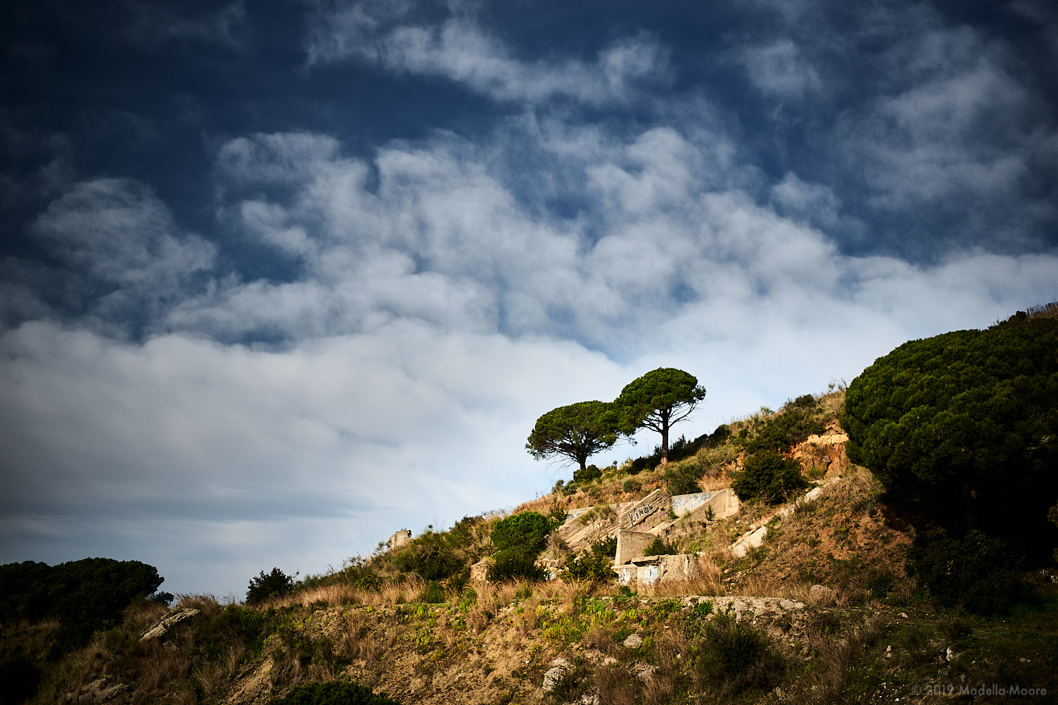 Transition Space I – Transient Eye