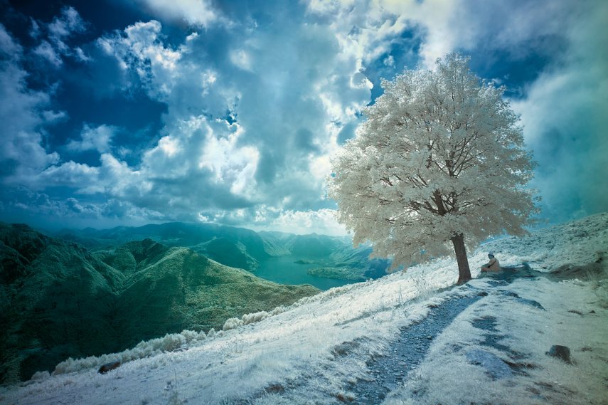 Leica M10 with 21mm Super-Elmar and an R72 IR filter.